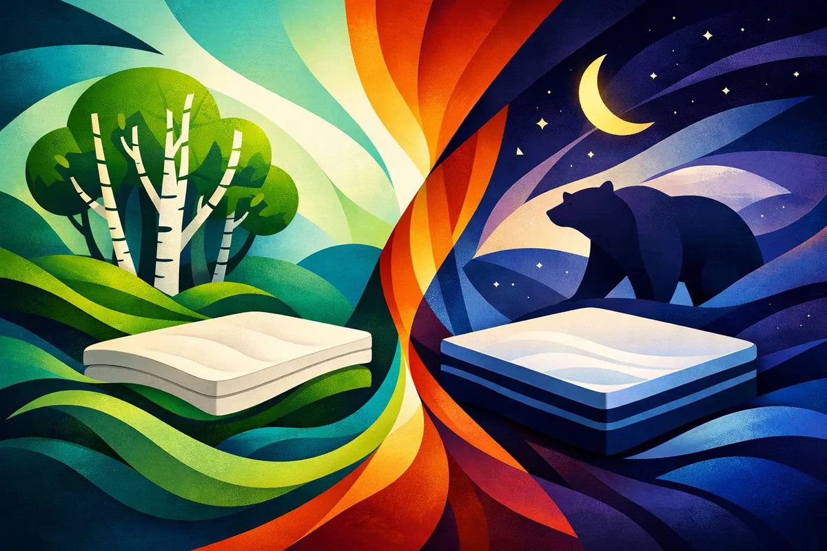 Birch vs Bear Mattress for Better Sleep