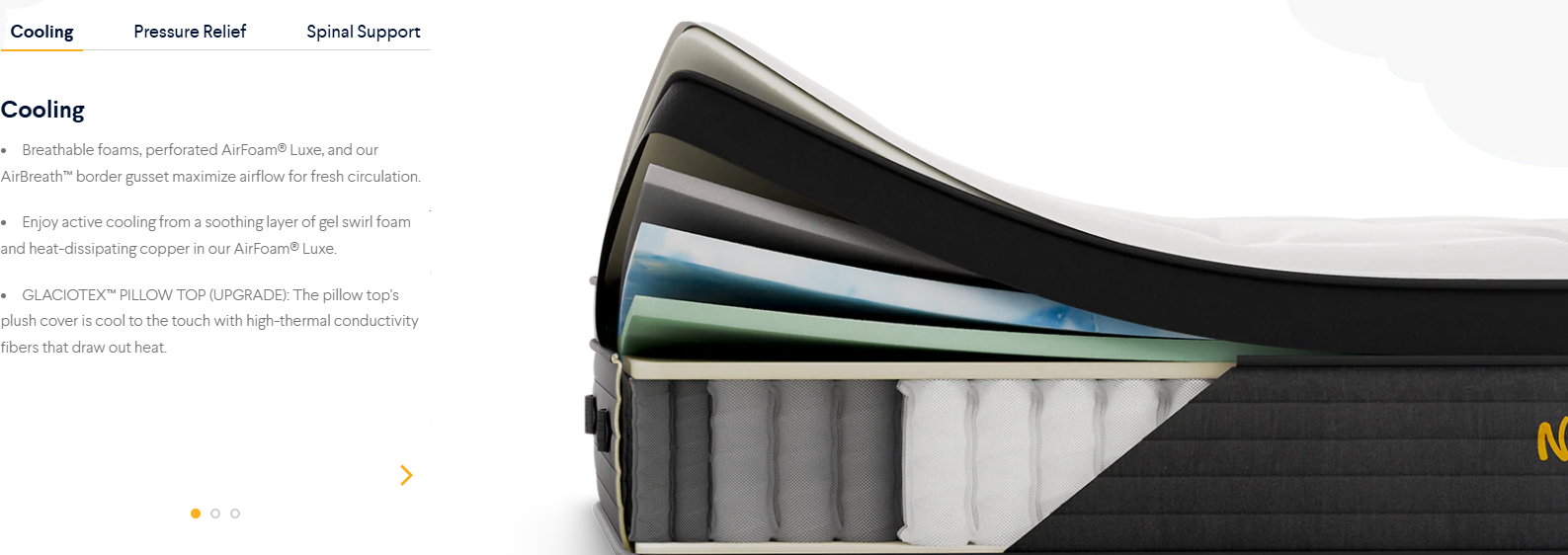 नोलाह इवोल्यूशन