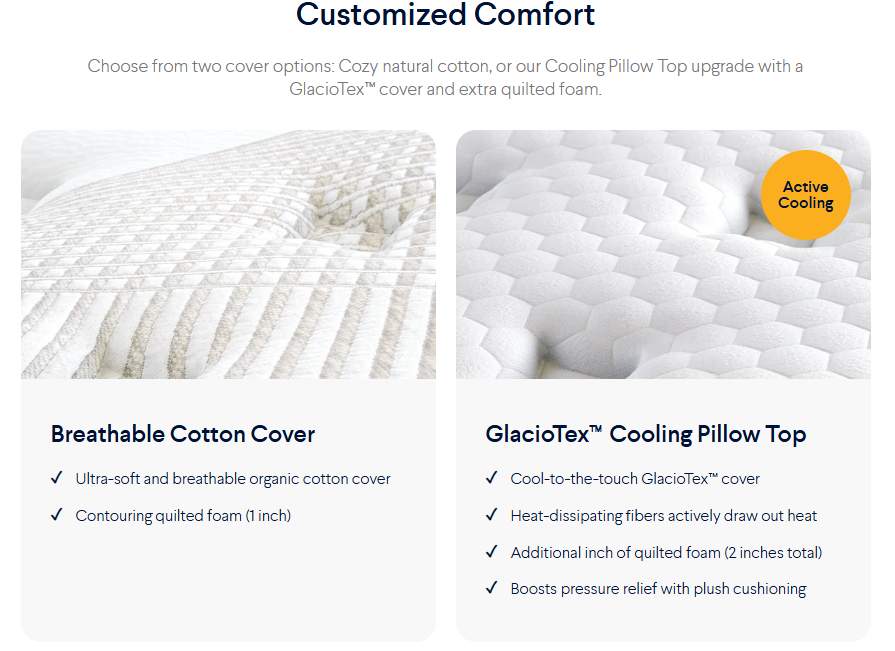 नोलाह इवोल्यूशन