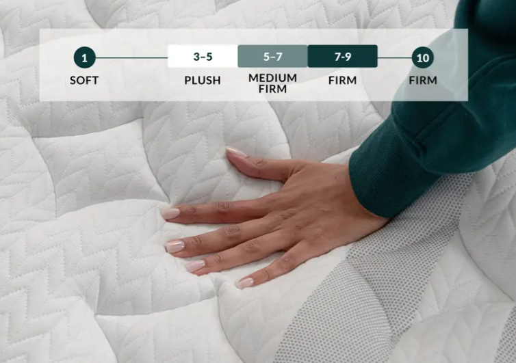 लीसा सपिरा चिल हाइब्रिड