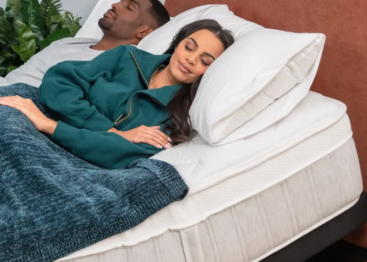 लीसा सपिरा चिल हाइब्रिड