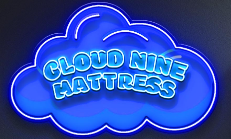 Products – Page 2 – Cloud Nine Mattress
