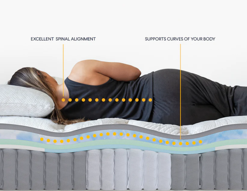 नोलाह इवोल्यूशन