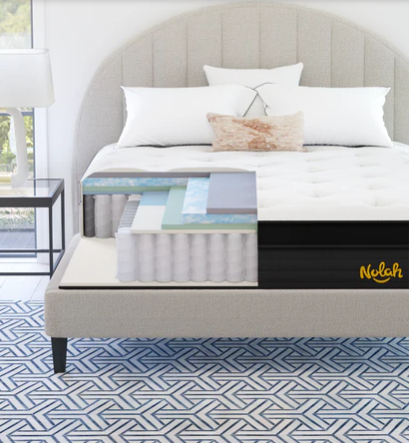 नोलाह इवोल्यूशन