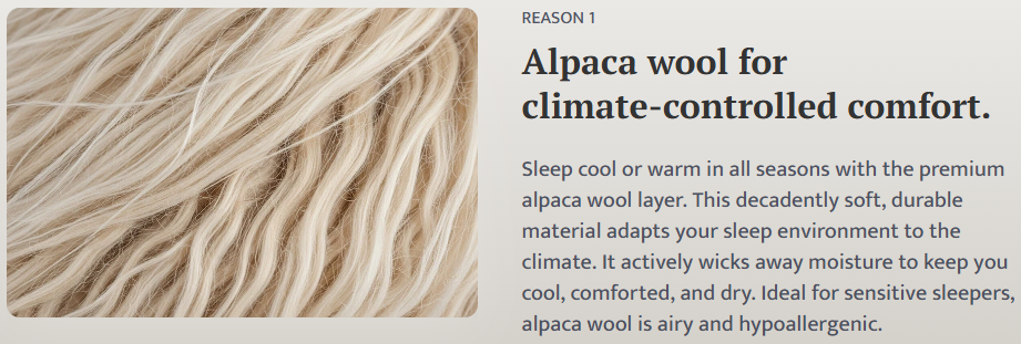 पफी मोनार्क 